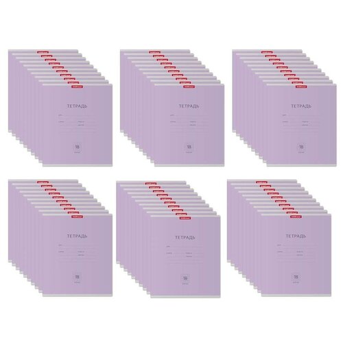 Тетрадь школьная ученическая ErichKrause® Классика фиолетовая, 18 листов, клетка 60 шт