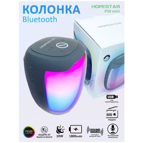 Блютуз колонка, портативная акустическая система, Hopestar P50mini