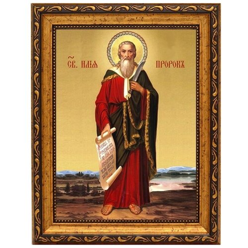 Илья Святой Пророк Божий в полный рост. Икона на холсте.