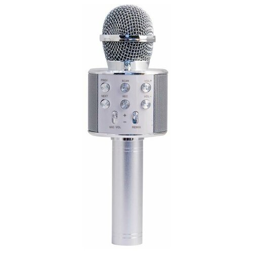 Микрофон Magic Acoustic MA3001SR