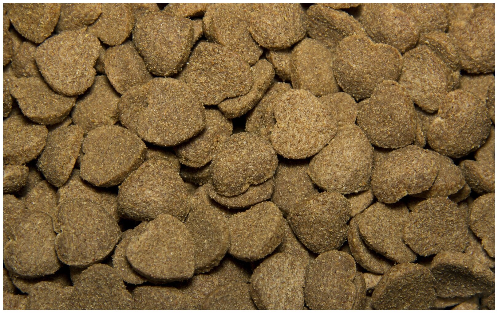 Сухой корм для собак Tasty с ягненком 1 уп. х 1 шт. х 2.2 кг - фотография № 10