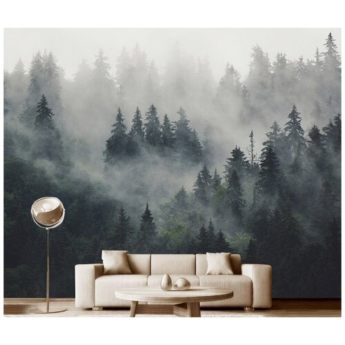 Фотообои на стену Модный Дом Лес в Тумане 350x280 см (ШxВ) фотообои на стену модный дом лес в тумане 350x260 см шxв