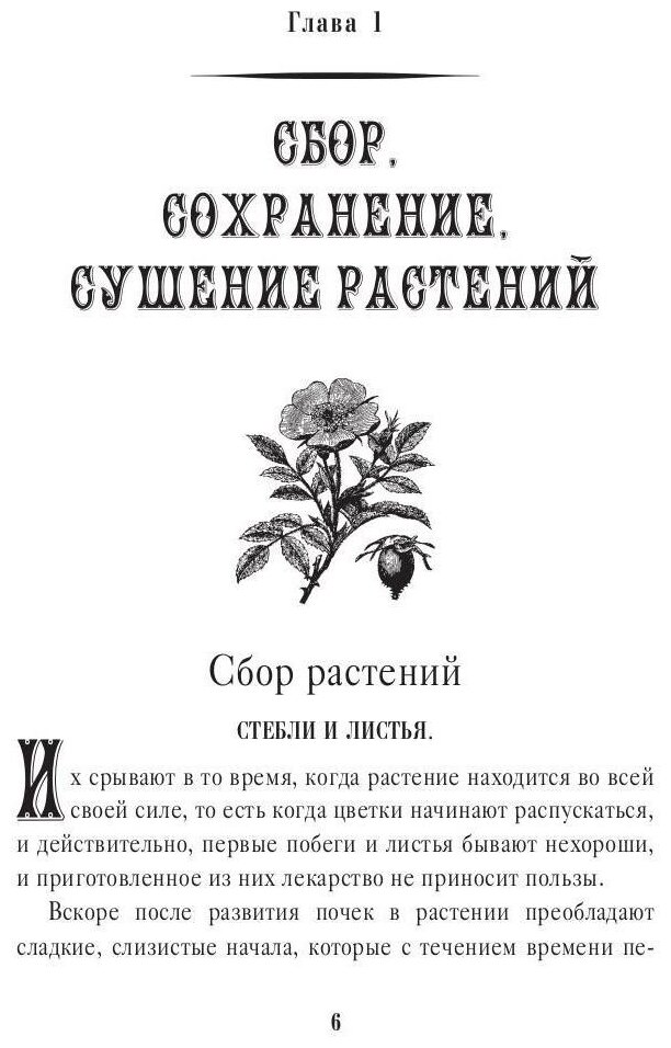 Царство врачебных трав и растений. Целебный травник. Книга практических советов - фото №3