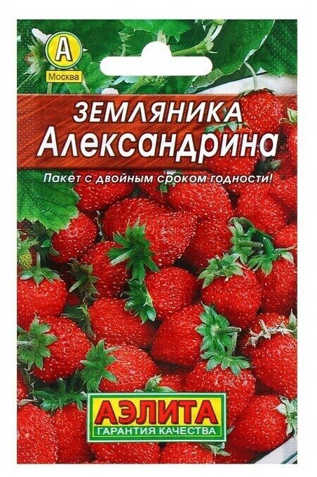 Семена Земляника 