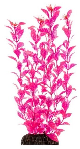 Растение Laguna "Людвигия" ярко-розовая, 400мм
