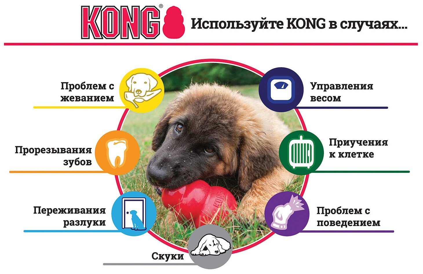 Игрушка для собак KONG M очень прочная средняя, 8х6 см - фото №15