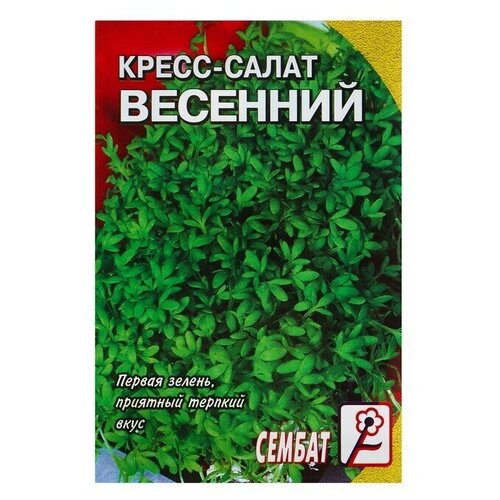 Семена Кресс-салат Весенний, 1 г 22 упаковки салат из свежих огурчиков лукашинские закуски весенний 430 г