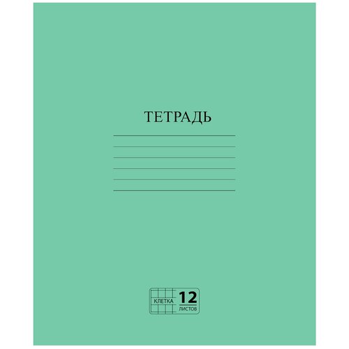 Тетрадь зелёная обложка 12 л, клетка с полями, офсет №2 эконом, 