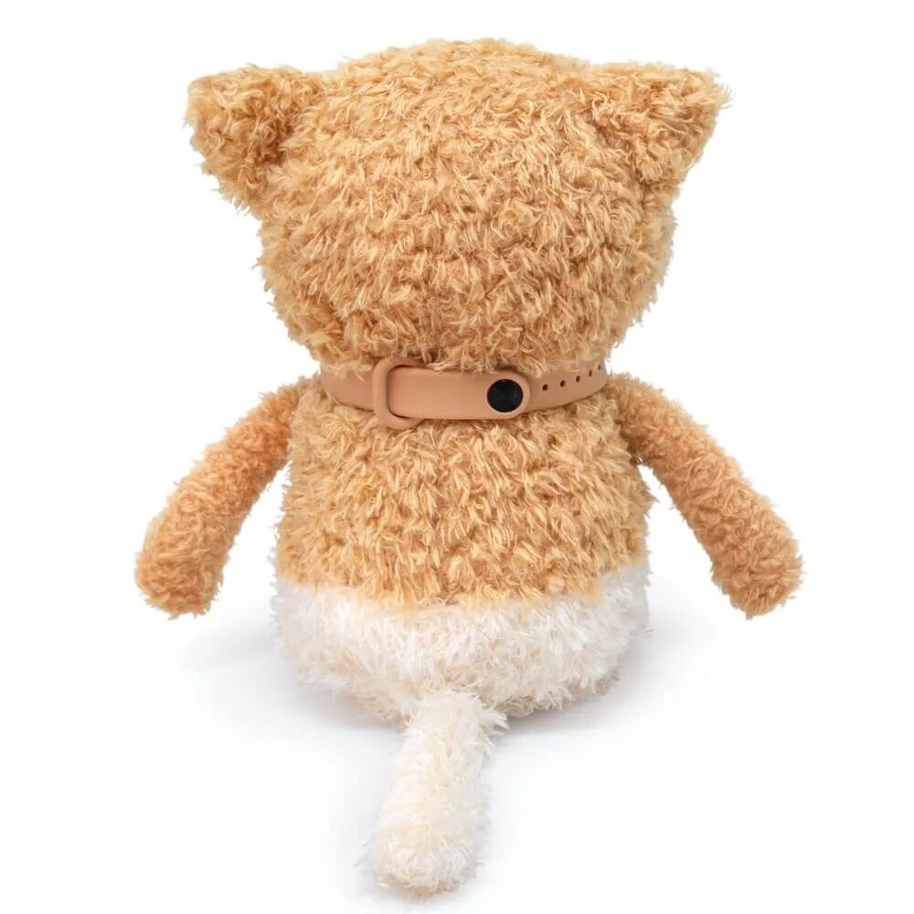 Кофейные коты "Budi Basa" Раф CCat16-30 — фото 1