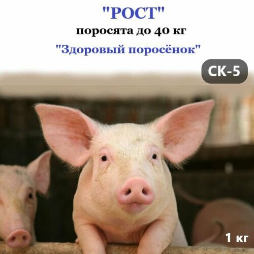 Полнорационный комбикорм для с/х животных и птиц. "Рост" СК-5 поросята до 40 кг.
