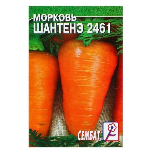 Семена Морковь Шантенэ 2461, 0,5 г семена агрофирма аэлита лидер морковь шантенэ 2461 2 г 4 уп