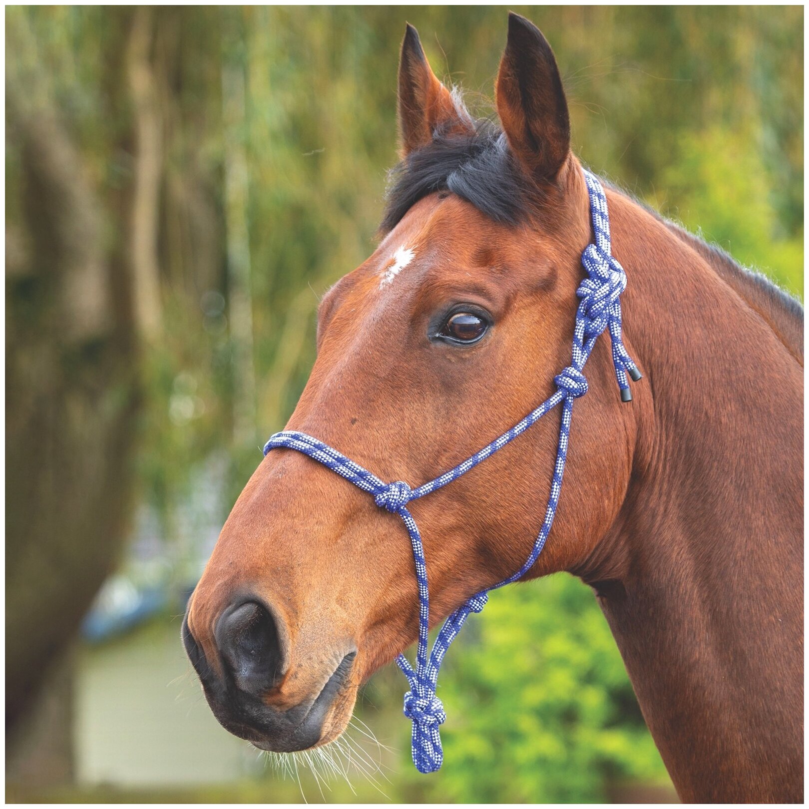 Недоуздок для лошади верёвочный SHIRES , синий/белый (Великобритания)