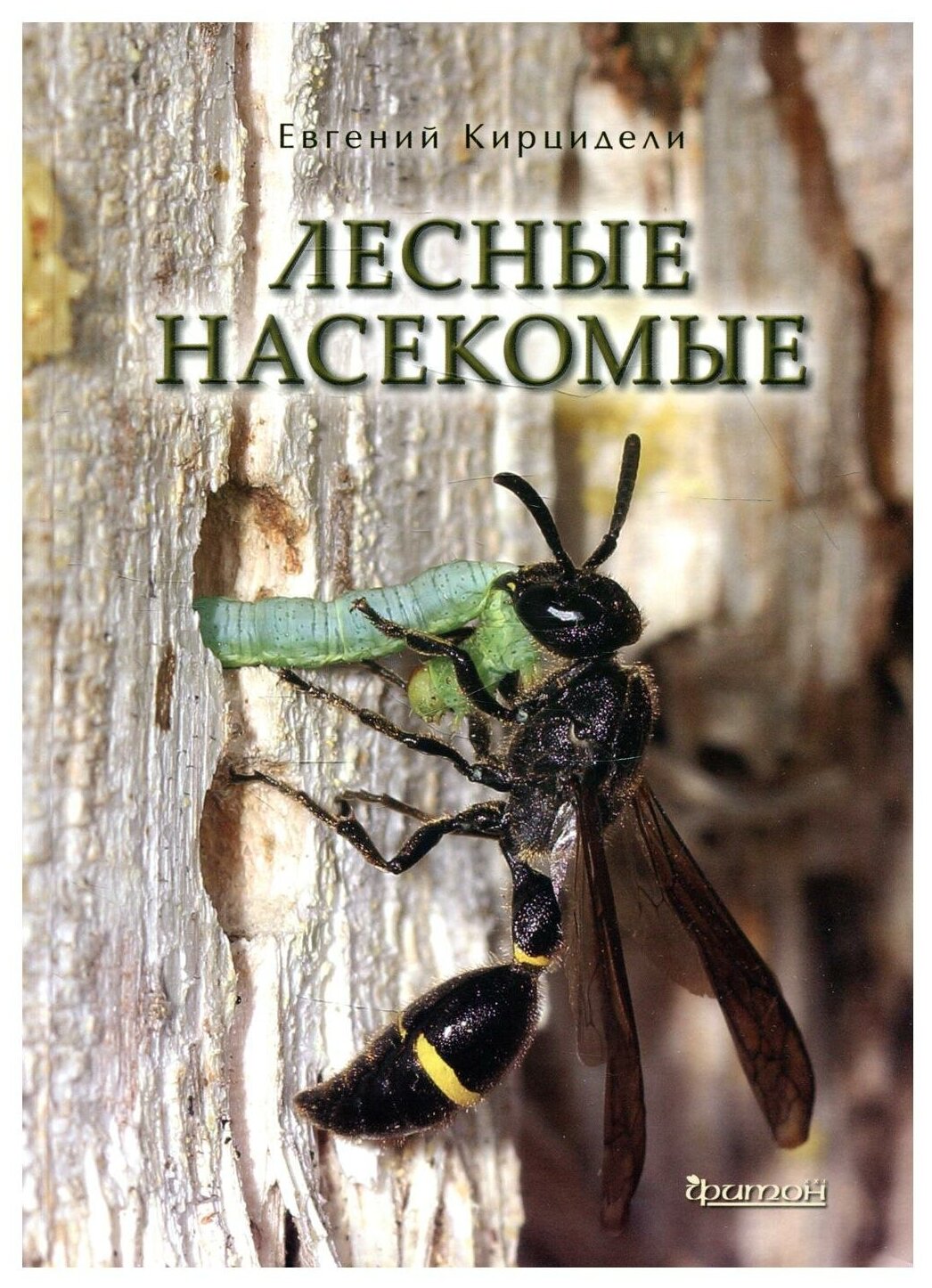 Лесные насекомые (Кирцидели Евгений Юрьевич) - фото №1