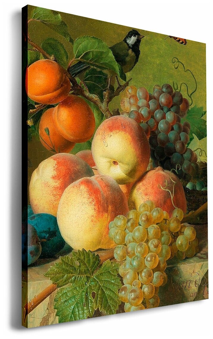 Картина 50x30 см на холсте Жан-Франсуа Ван Даль - Натюрморт персиков,  винограда и слив на камне — купить в интернет-магазине по низкой цене на  Яндекс Маркете