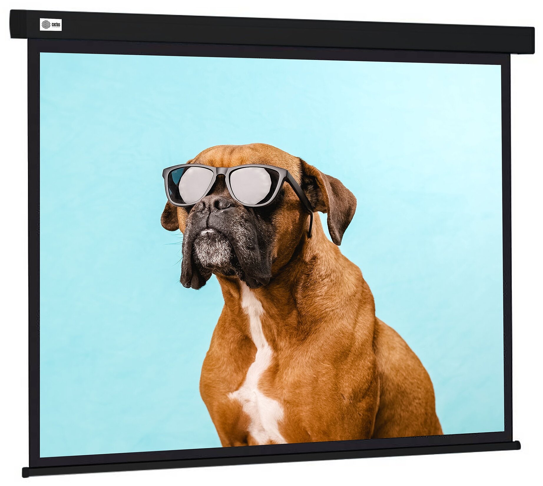 Экран для проектора Cactus Wallscreen CS-PSW-183X244-BK