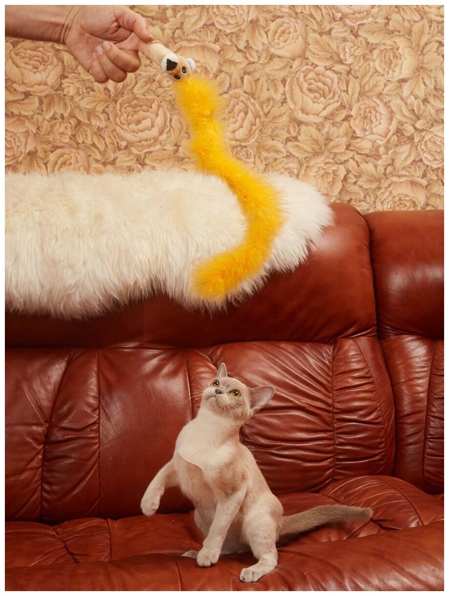 Игрушка для кошек и котят Japan Premium Pet пушистая дразнилка в виде льва, цвет желтый