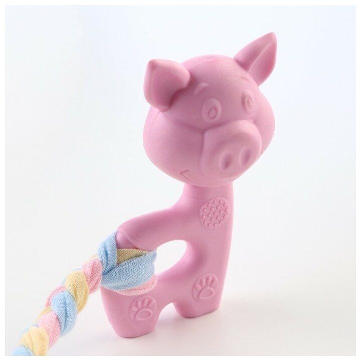 Игрушка жевательная Пижон Premium "Свинка", 10 х 6 х 3,5 см, розовая 6255547 - фотография № 7
