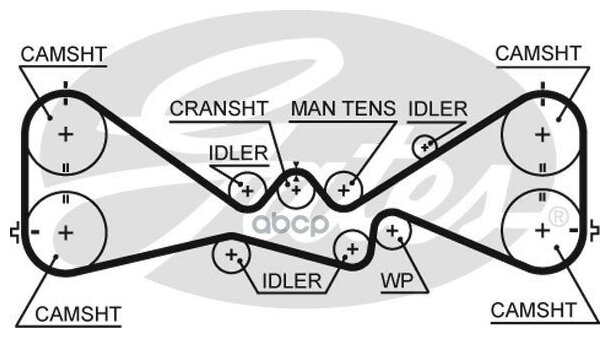 5612XS GATES Ремень ГРМ
