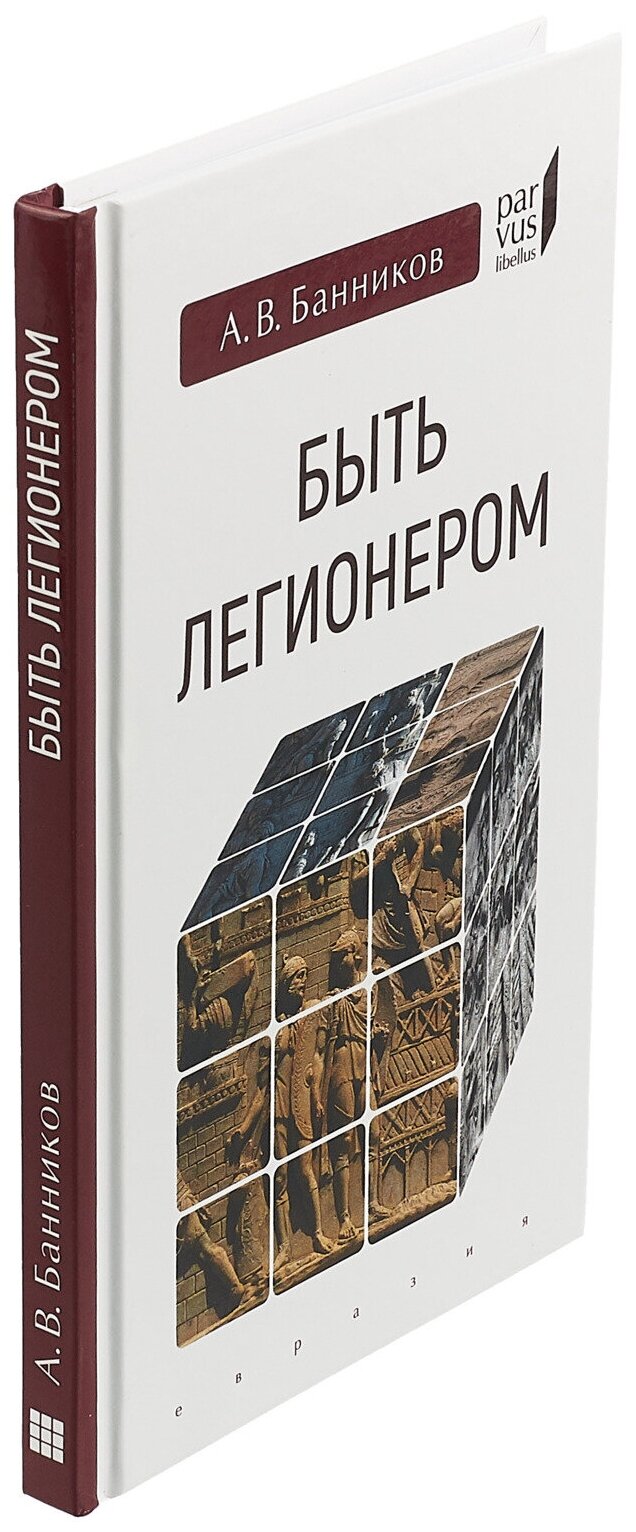 Быть легионером (Банников Андрей Валерьевич) - фото №9