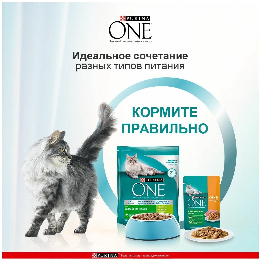 Сухой корм Purina ONE для взрослых кошек, живущих в домашних условиях, с высоким содержанием индейки и цельными злаками 200 г х 1 шт - фотография № 3