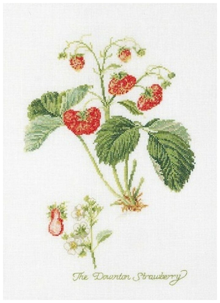 Strawberry #2085 Thea Gouverneur Набор для вышивания 26 x 35 см Счетный крест