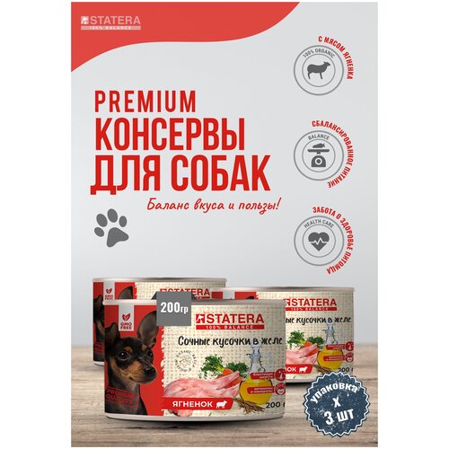 Полнорационный консервированный корм для собак - сочные кусочки в желе с ягненком 3 банки по 200 гр.