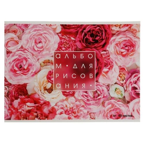 Альбом для рисования А4 40 листов на скрепке Розы обложка мелованный картон блок 100 г/м² альбом для рисования а4 розы