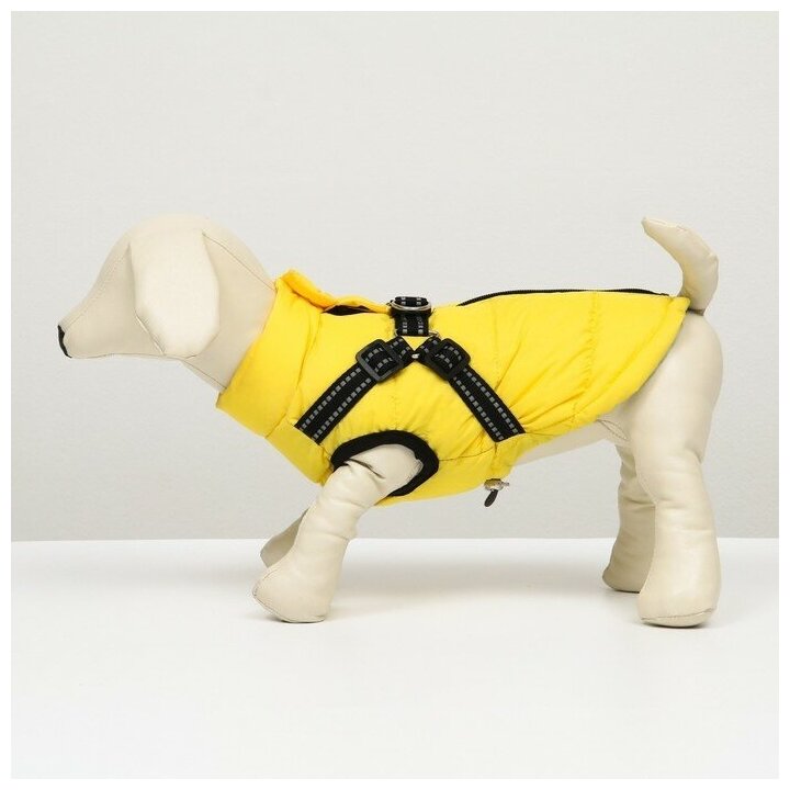 Куртка для собаксо шлейкой, размер 14 (ДС 32 см, ОГ 42 см, ОШ 31 см), лимонная - фотография № 18