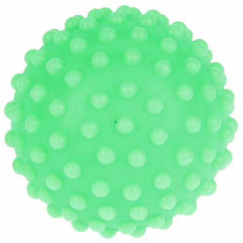 Мячик для собак Зооник Мяч игольчатый №2 (СИ78), в ассортименте