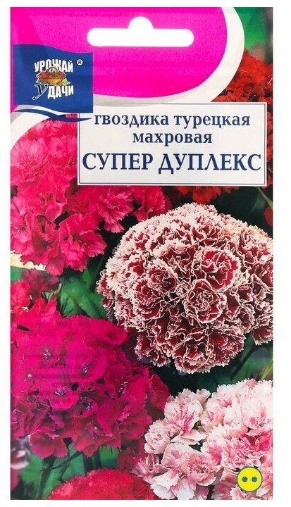 Семена цветов Гвоздика Турецкая "Супер Дуплекс", 0,2 г