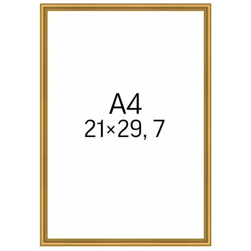Фоторамка 21х29,7 см (А4). металлическая (Алюминий) золотая , для постера, фотографии, картины. Рамка для зеркала. Подарок девушке, мужчине.