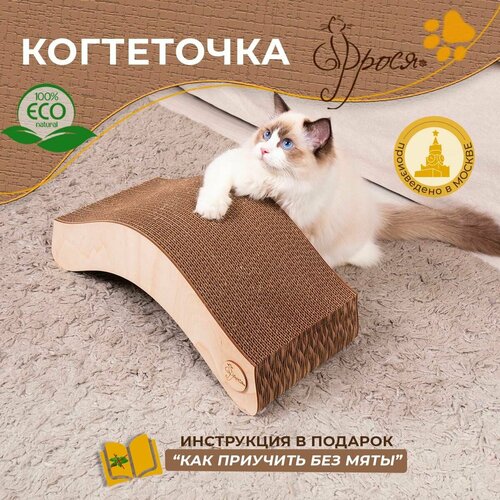 Когтеточка Фрося Улитка картонная для кошки, кота, котенка.