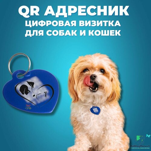 Адресник для собак и кошек с гравировкой QR кода, сердечко