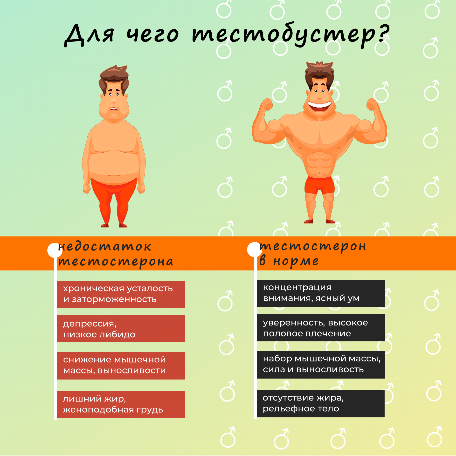 Изображение Тестобустер от КультЛаб, Комплекс для повышения тестостерона Testobooster Kultlab, 90 капс