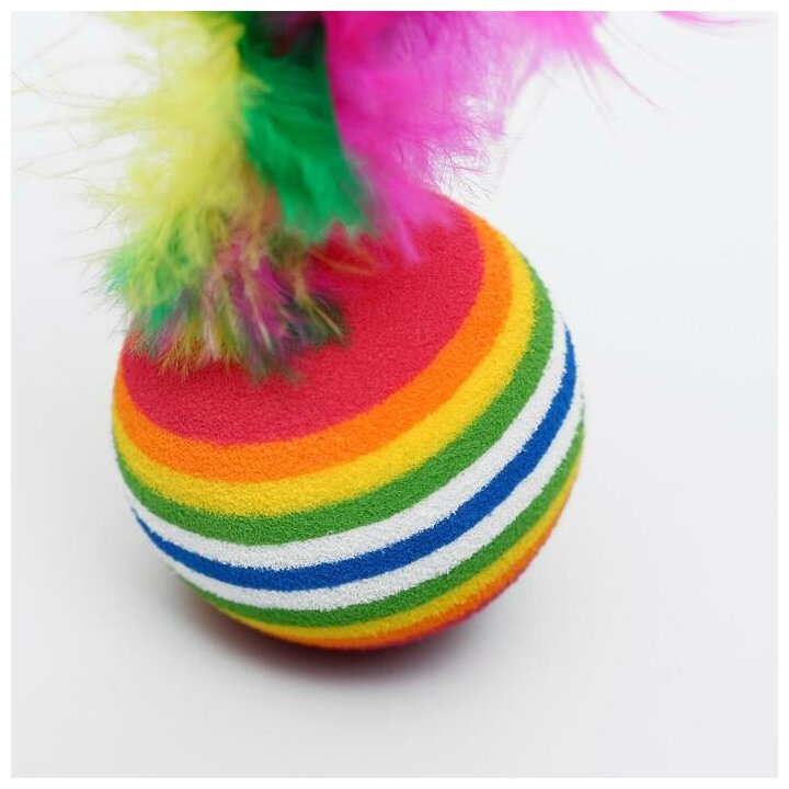 Набор из 2 игрушек "Полосатые шарики с перьями", диаметр шара 3,8 см, микс цветов - фотография № 2