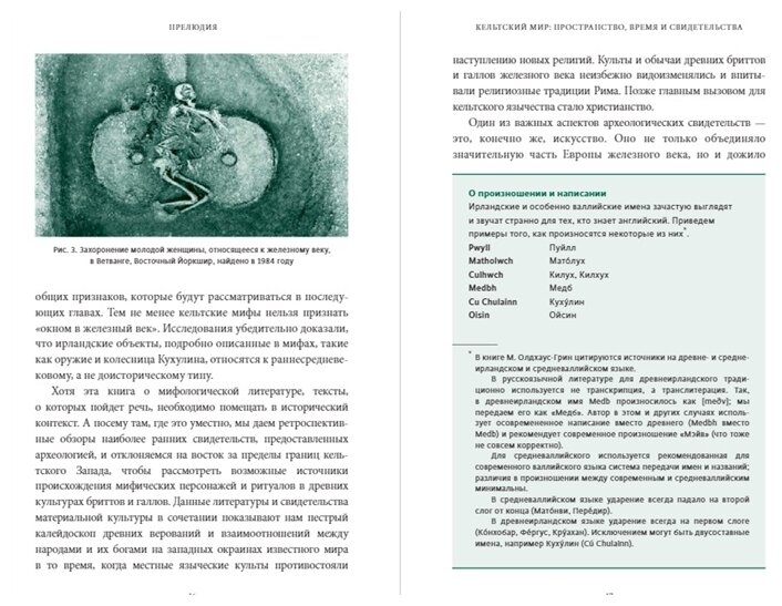Миранда Олдхаус-Грин. Кельтские мифы - фото №4