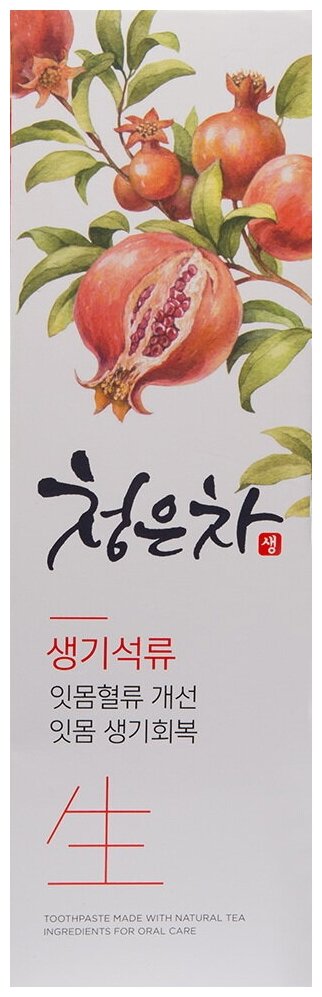 Зубная паста для поддержания здоровья десен — 2080 Chungun Tea Pomegranate Toothpaste