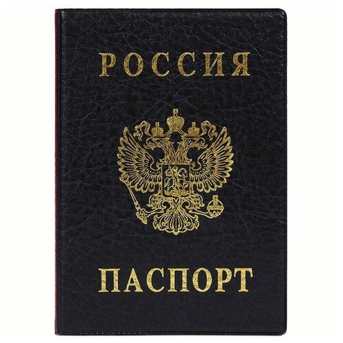 Обложка для паспорта DPSkanc, черный