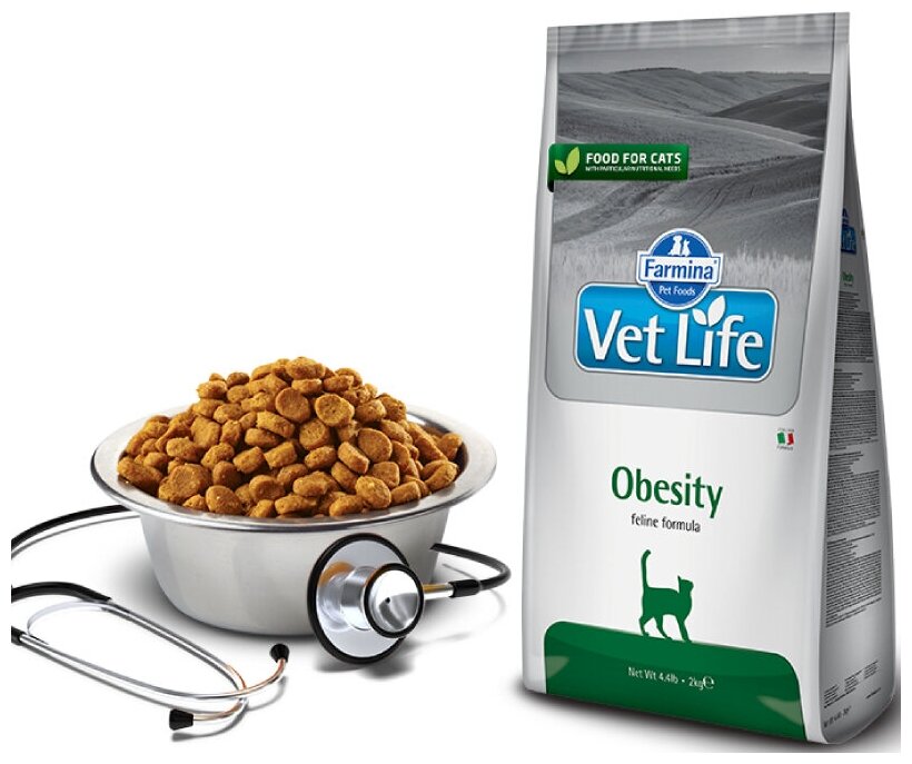 VET LIFE CAT OBESITY/ВЕТ лайф КЭТ обесити, 400 г - фотография № 2