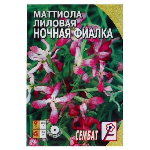 Семена цветов Маттиола Лиловая (ночая фиалка), 0,5 г 10 упаковок семена цветов маттиола ночная фиалка а 0 5 гр 2 подарка