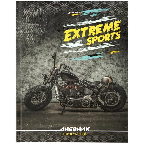 Дневник 1-4 класс 48 л., твердый, , выборочный лак, с подсказом, 