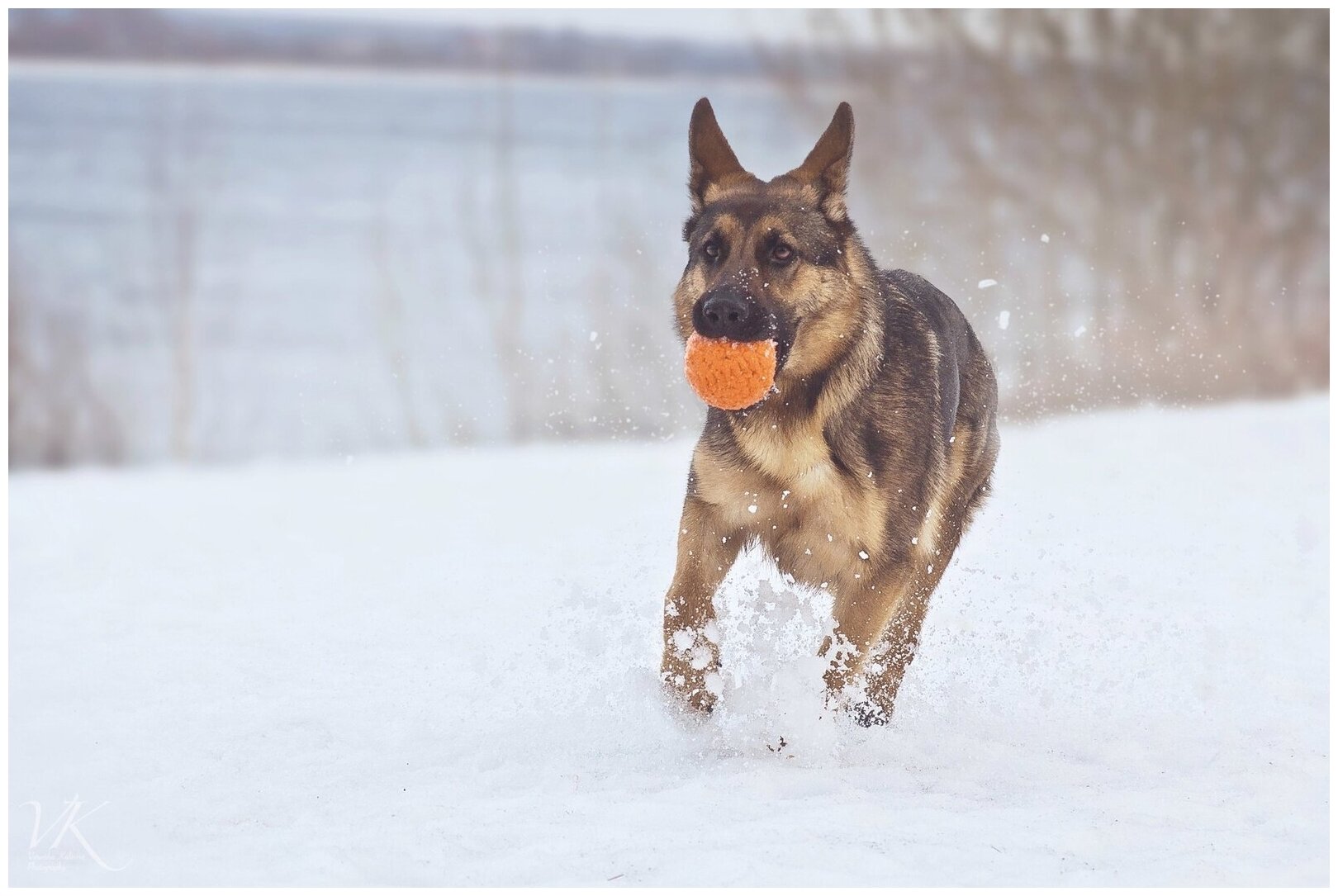 Doglike Мяч большой (оранжевый) 110 (1 шт)