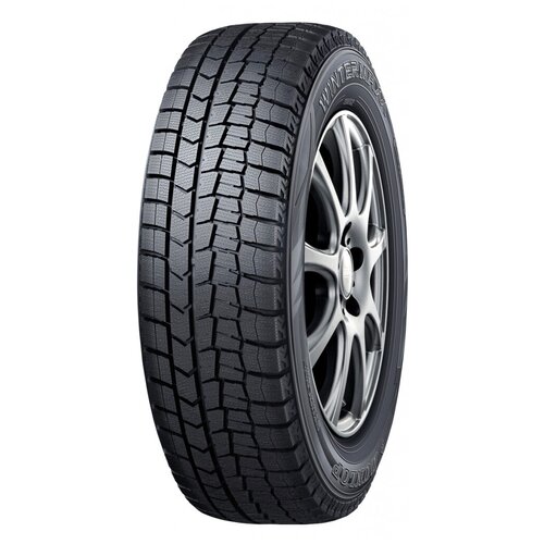 Автомобильные зимние шины Dunlop Winter Maxx WM02 245/50 R19 101T Run Flat