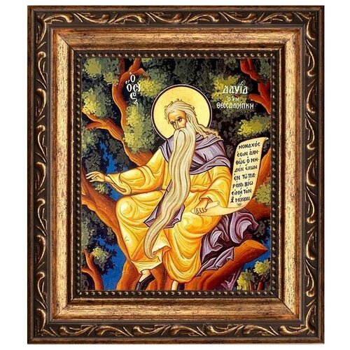 иоанн солунский фессалоникийский преподобный икона на холсте Давид Солунский (Фессалоникийский) Преподобный, отшельник. Икона на холсте.