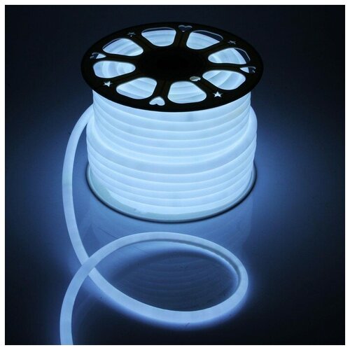 Светодиодная лента дюралайт 5м, белый, с блоком питания