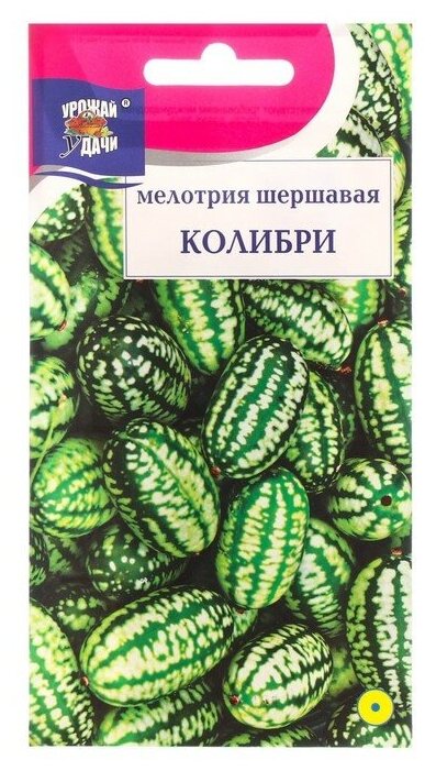 Семена цветов Мелотрия шершавая Колибри 0015 г.