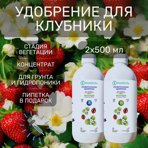 Изображение товара Комплекс HealthLife Универсальное удобрение А+В для клубники стадия вегетация (2х500 мл) для гидропоники и грунта