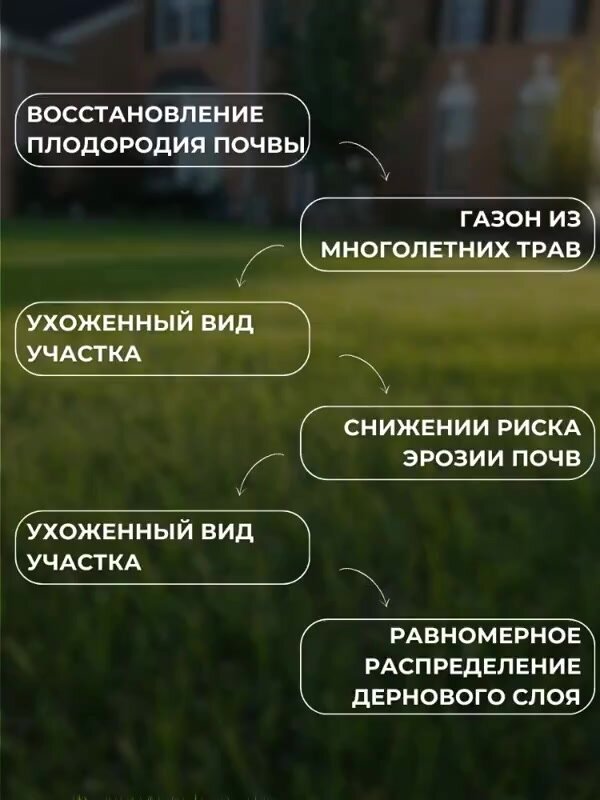 Газонная трава семена Дачная 3кг, Зеленстрой — фото 1