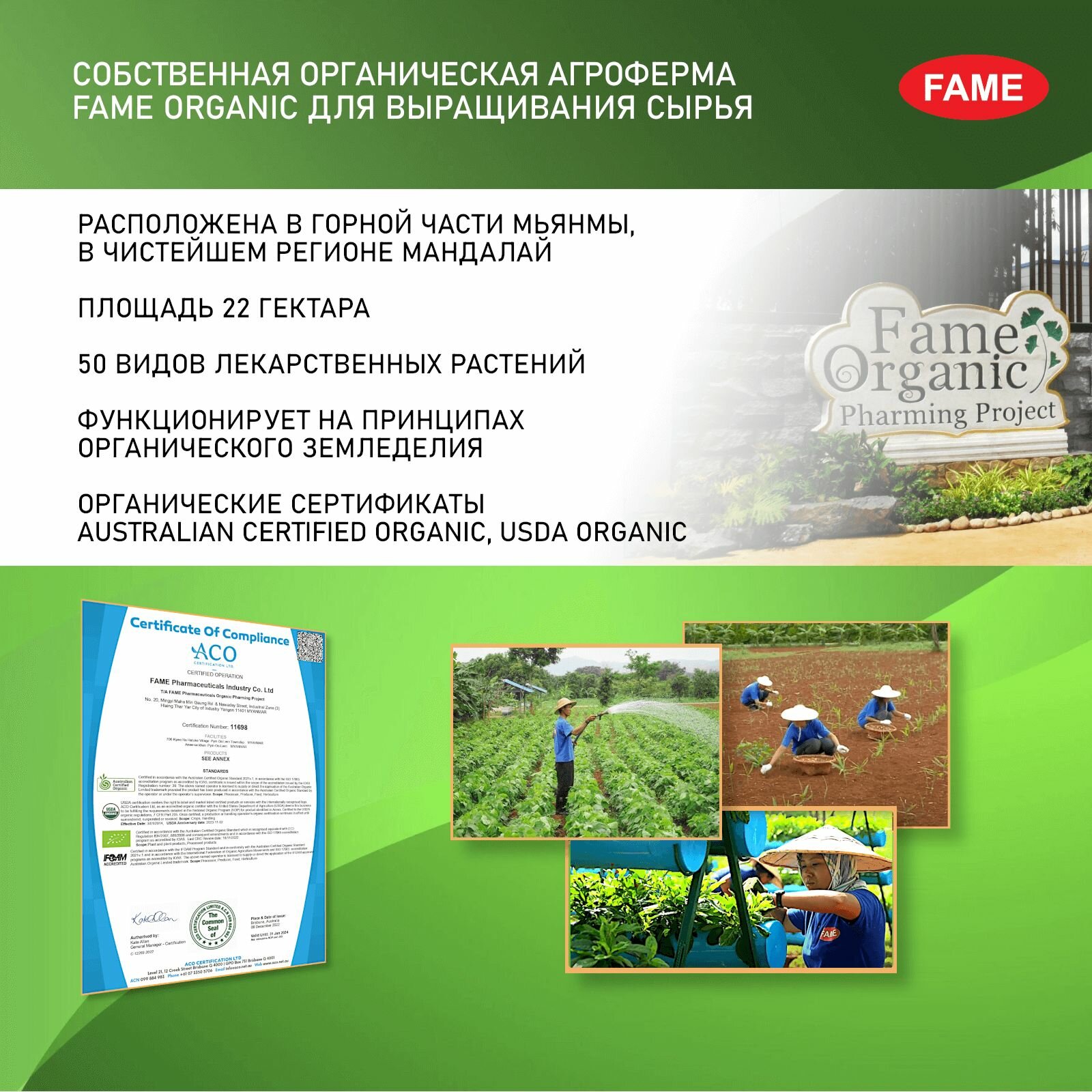 Антиоксиданты Антиоксидант ресвератрол из винограда для поддержки сердца и сосудов, мозга, зрения. Капсулы №60