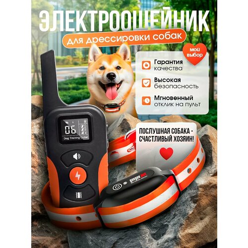 Электронный ошейник для дрессировки собак PD-519-PRO